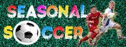 Seasonal Soccer System Requirements