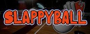 Slappyball System Requirements