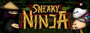 Sneaky Ninja System Requirements