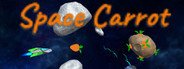 Space Carrot System Requirements