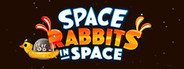 Space Rabbits in Space System Requirements