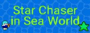 Star Chaser in Sea World System Requirements