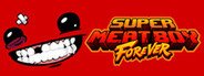 Super Meat Boy Forever System Requirements