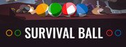 Survival Ball System Requirements