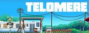 Telomere System Requirements