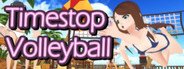 Timestop Volleyball System Requirements