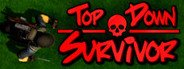 Top Down Survivor System Requirements