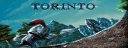 TORINTO System Requirements