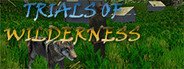 Trials of Wilderness System Requirements