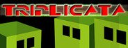 Triplicata System Requirements