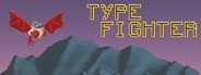 Type Fighter System Requirements