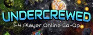 Undercrewed System Requirements