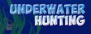 Underwater hunting System Requirements