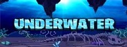 Underwater System Requirements