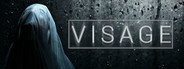 Visage System Requirements