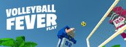 Volleyball Fever Flat System Requirements