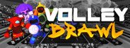 VolleyBrawl System Requirements