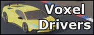 Voxel Drivers System Requirements