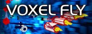 Voxel Fly System Requirements