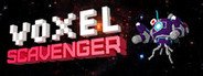 Voxel Scavenger System Requirements