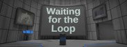 Waiting for the Loop System Requirements