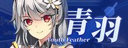 Youth Feather System Requirements